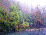 абхазия 02.2006 045
